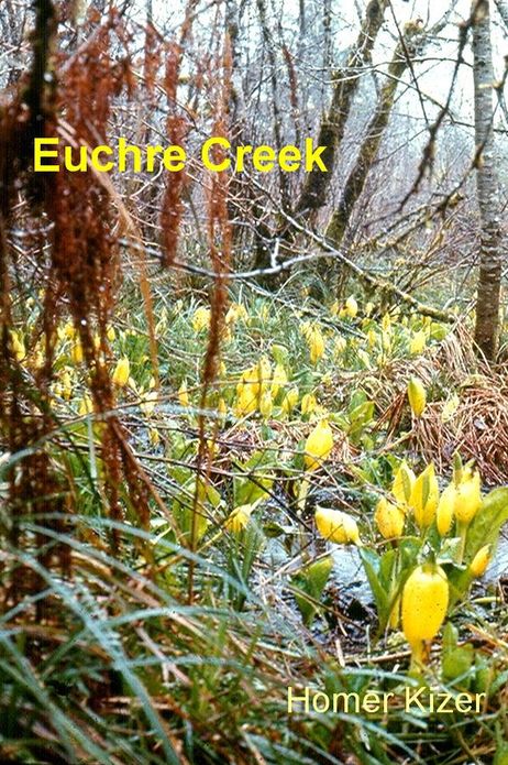 Euchre Creek