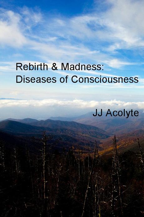 Rebirth & Madness: Diseases of Consciousness: Diseases of Consciousness & The Soul's Evolution