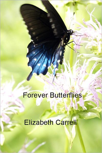 Forever Butterflies