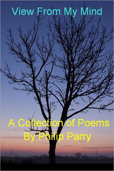 View From My Mind: A Collection of Poems