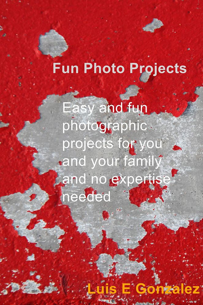 Fun Photo Projects: Easy and fun photographic projects for you and your family and no expertise needed
