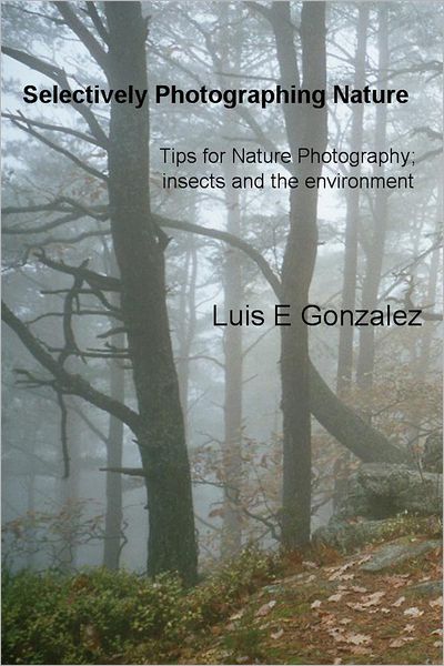 Selectively Photographing Nature: Tips for Nature Photography; insects and the environment