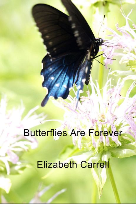 Butterflies Are Forever