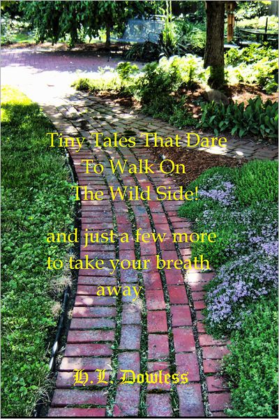 Tiny Tales That Dare To Walk On The Wild Side!: and just a few more to take your breath away