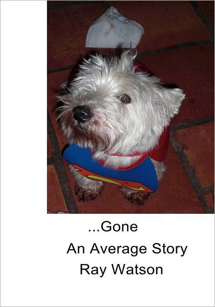 ...Gone: An Average Story