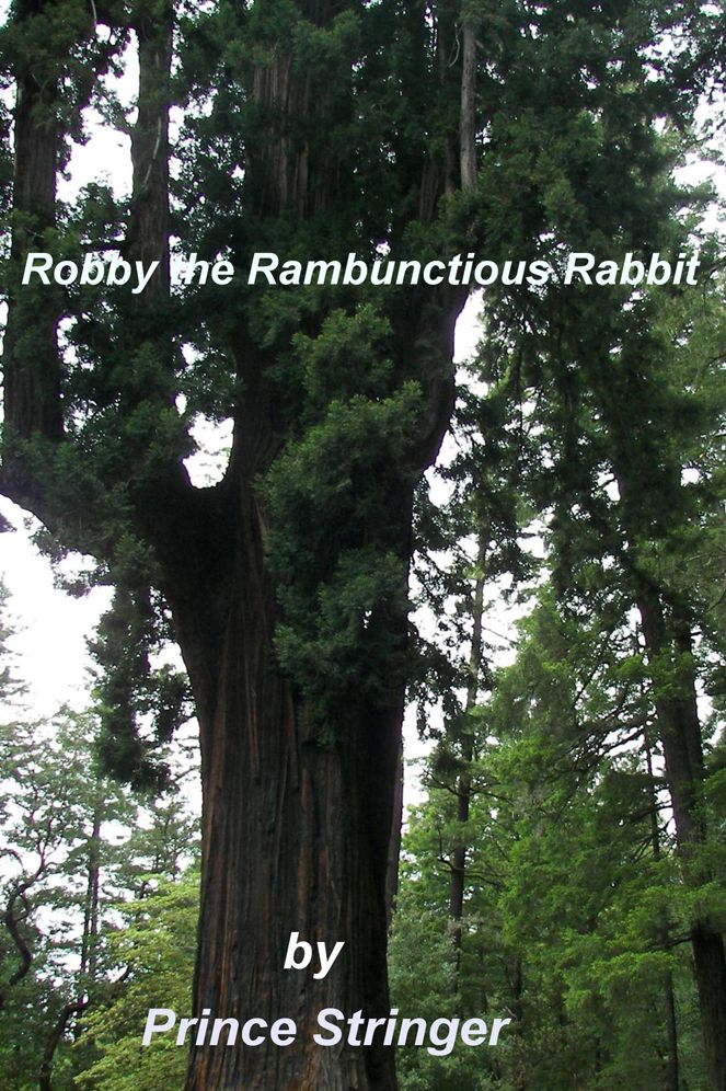 Robby the Rambunctious Rabbit: by