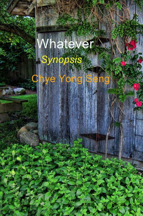 Whatever: Synopsis