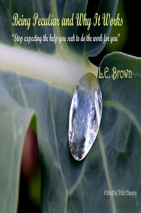 Being Peculiar and Why It Works: "Stop expecting the help you seek to do the work for you"
