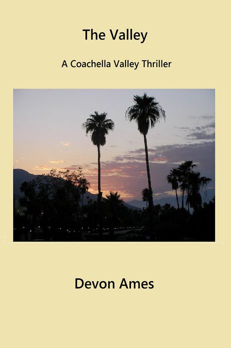 The Valley: A Coachella Valley Thriller
