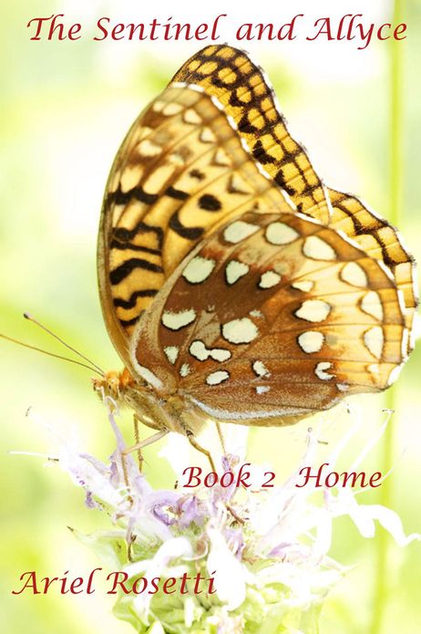 The Sentinel and Allyce: Book 2 Home
