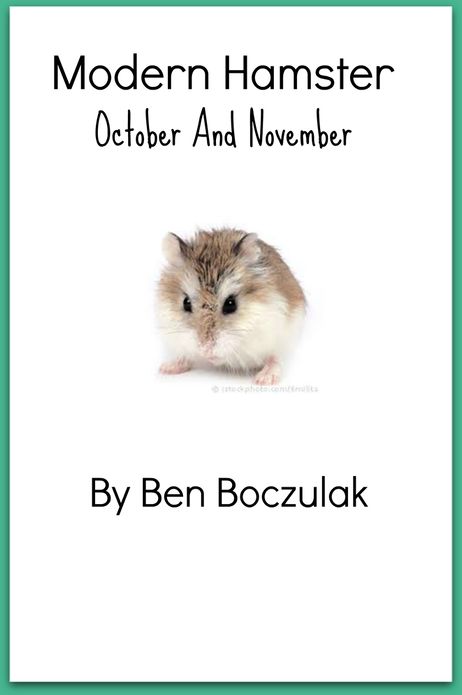 Modern Hamster: October and November