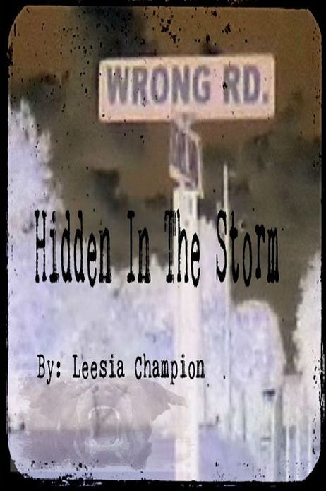 Hidden In The Storm