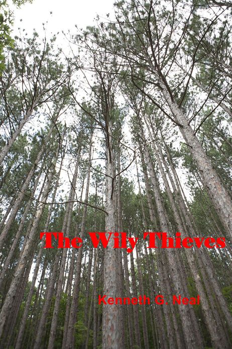 The Wily Thieves