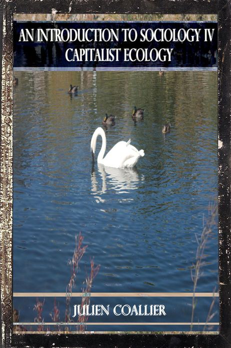 Introduction to Sociology IV: Capitalist Ecology