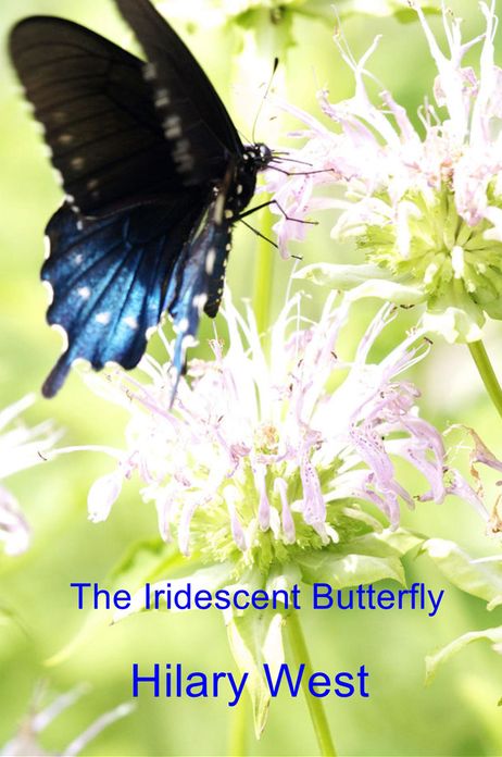 The Iridescent Butterfly