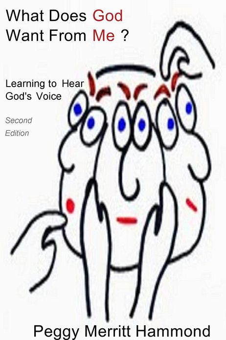 What Does God Want From Me?: Learning to Hear God's Voice Second Edition