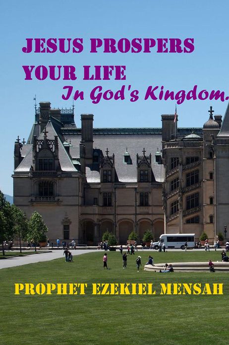 Jesus Prospers Your Life: In God's Kingdom