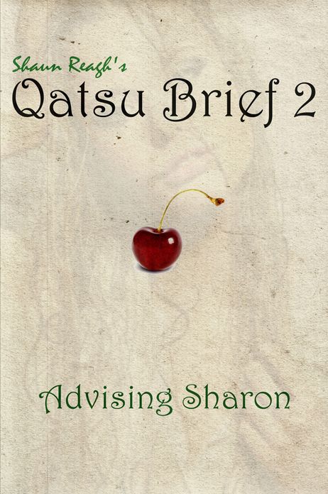 Qatsu Brief 2: Advising Sharon