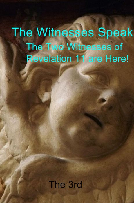 The Witnesses Speak:: The Two Witnesses of Revelation 11 are Here!