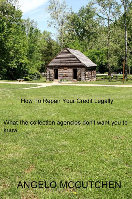 How To Repair Your Credit Legally: What the collection agencies don't want you to know