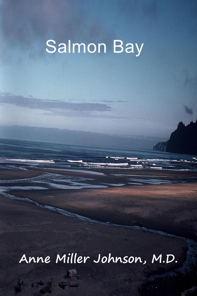 Salmon Bay