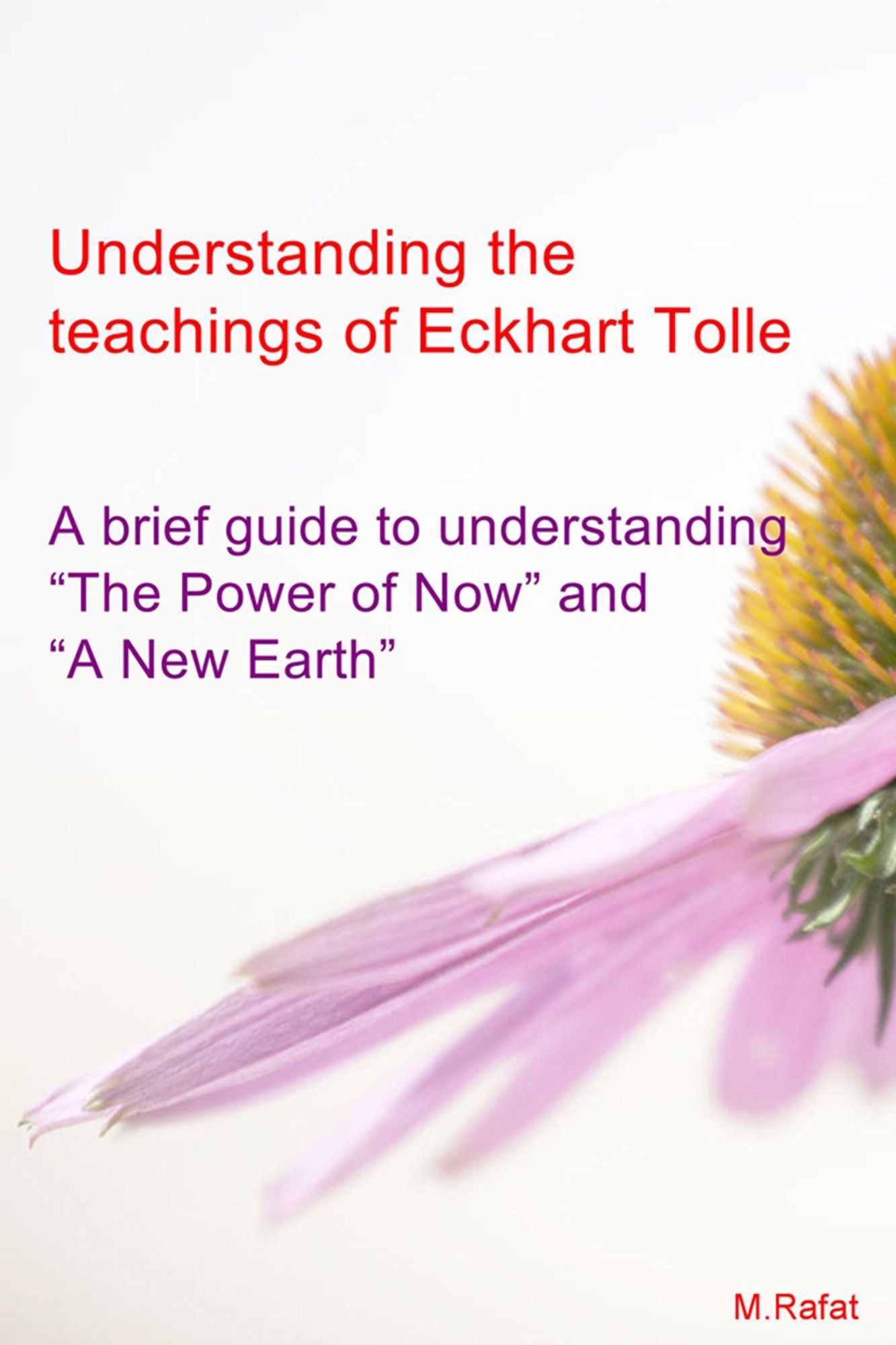 Understanding The Teachings of Eckhart Tolle: A Brief Guide To Understanding "The Power of Now" and "A New Earth"