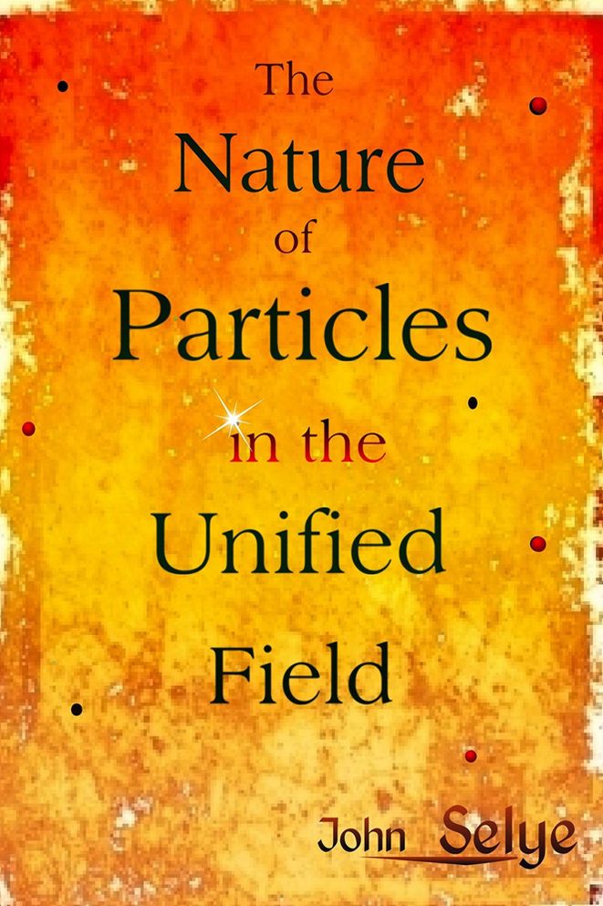 The Nature of Particles in the Unified Field