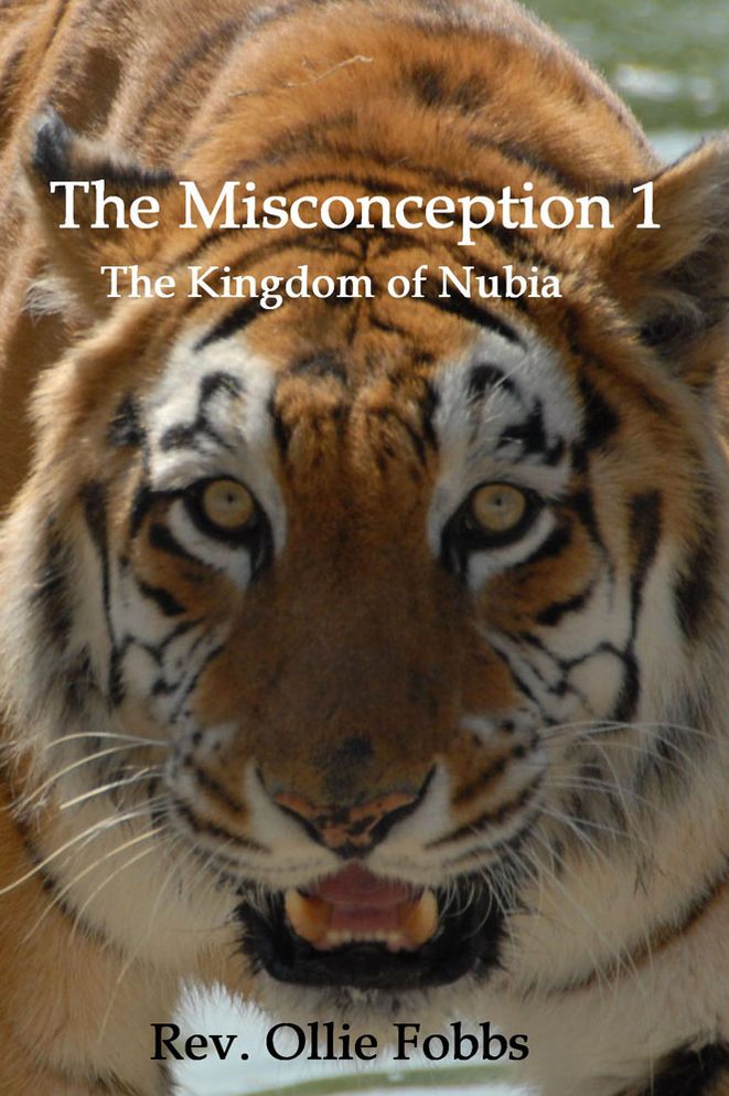 The Misconception 1: The Kingdom of Nubia