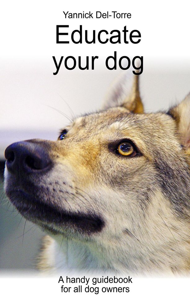 Educate your dog: A handy guidebook for all dog owners