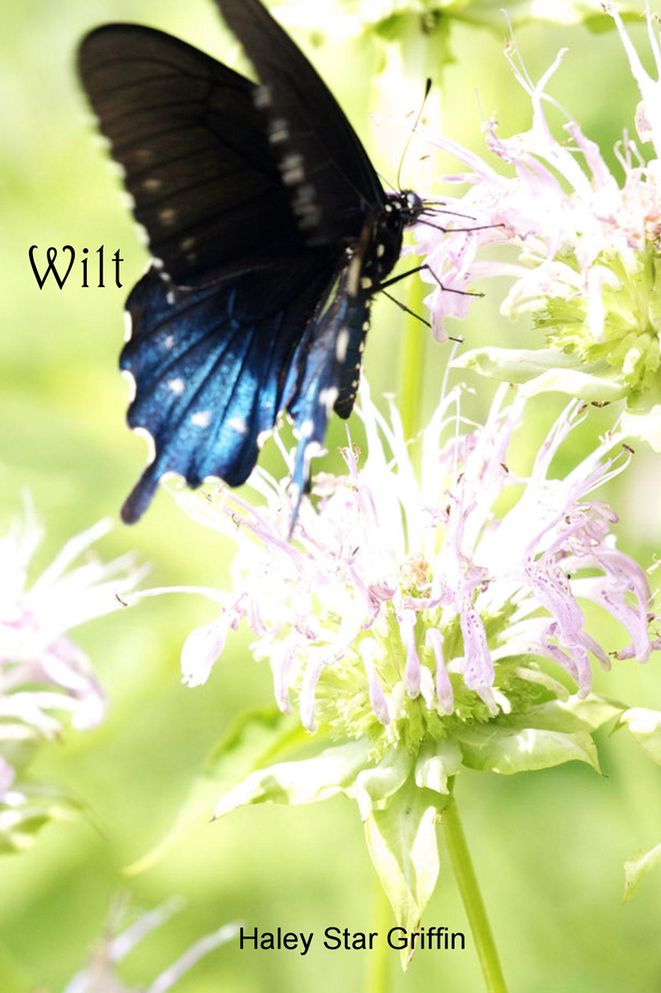 Wilt