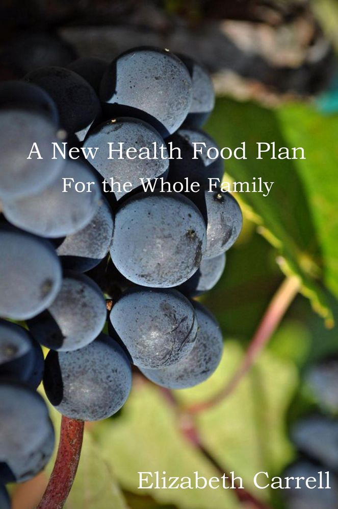 A New Health Food Plan: For the Whole Family