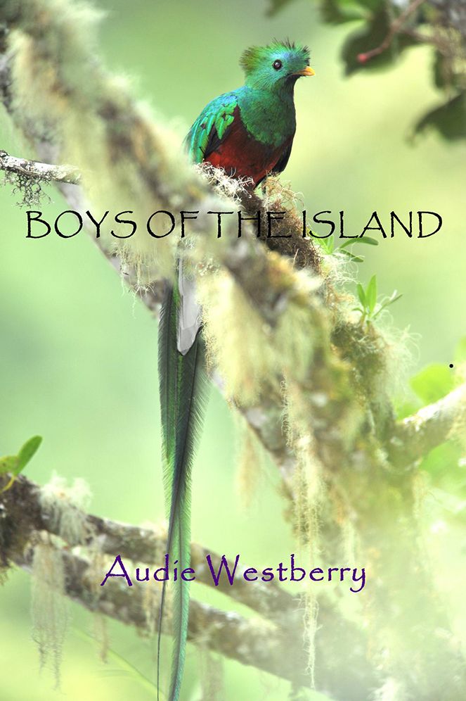 Boys of the Island