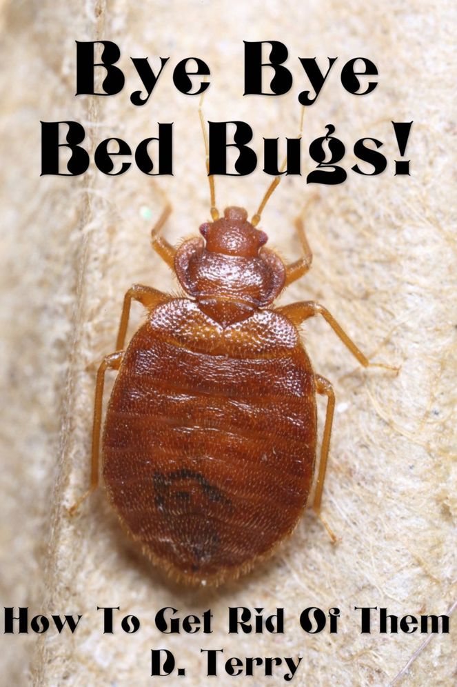 Bye Bye Bed Bugs!: How To Get Rid Of Them