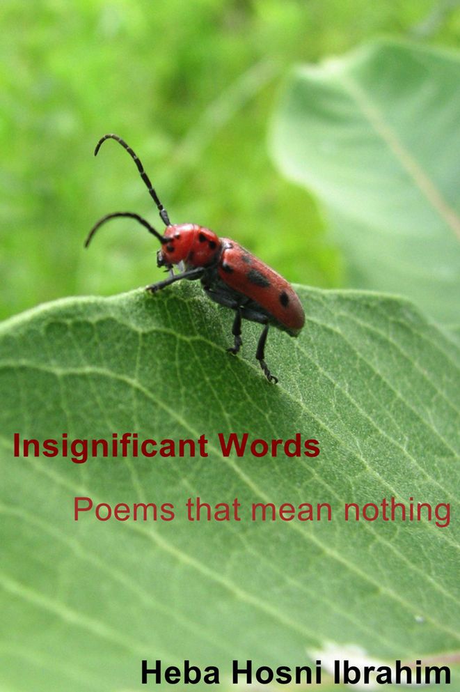 Insignificant Words: Poems that mean nothing