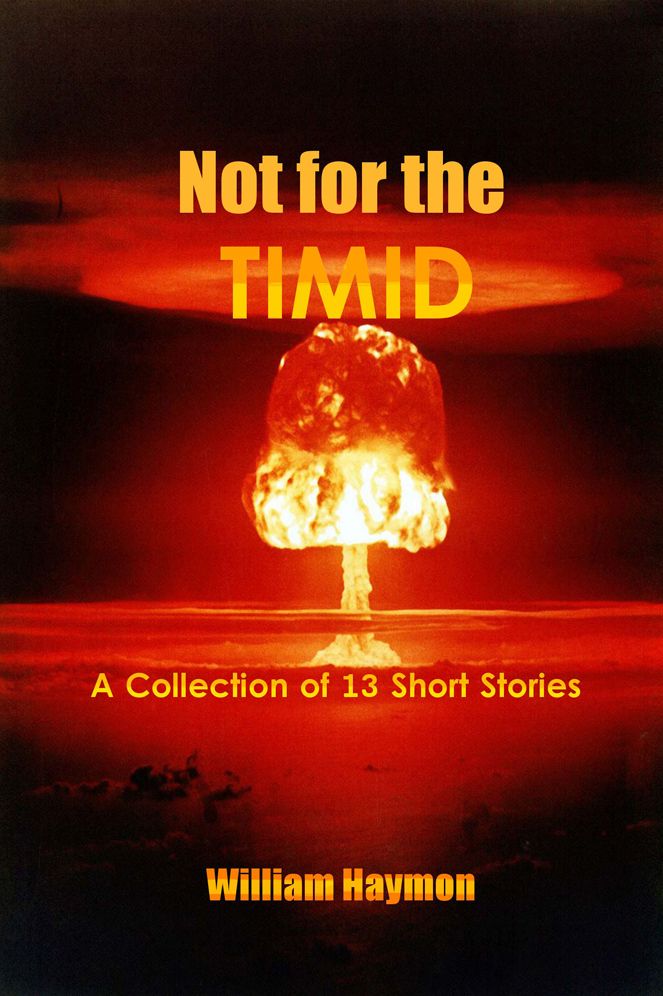 Not for the Timid: A Collection of 13 Short Stories
