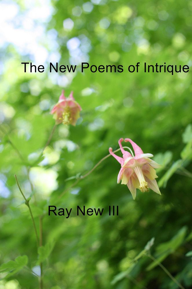 The New Poems of Intrique