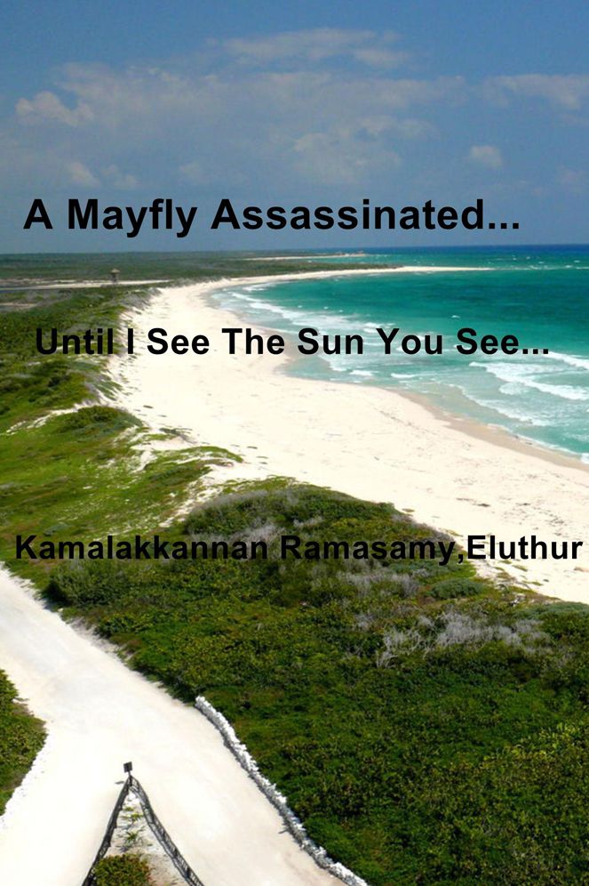 A Mayfly Assassinated...: Until I See The Sun You See...