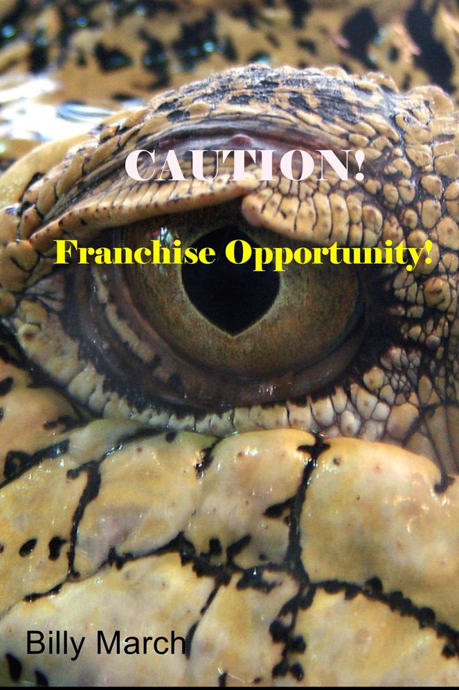 Caution!: Franchise Opportunity!