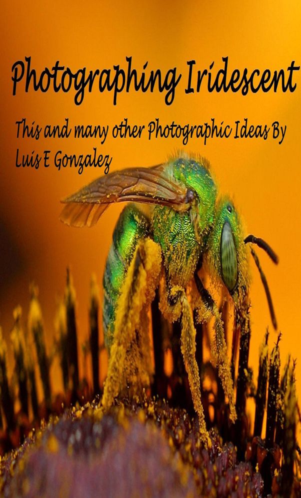 Photographing Iridescence: Plus many other photographic ideas