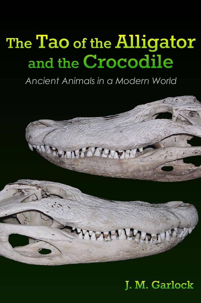The Tao of the Alligator and the Crocodile
