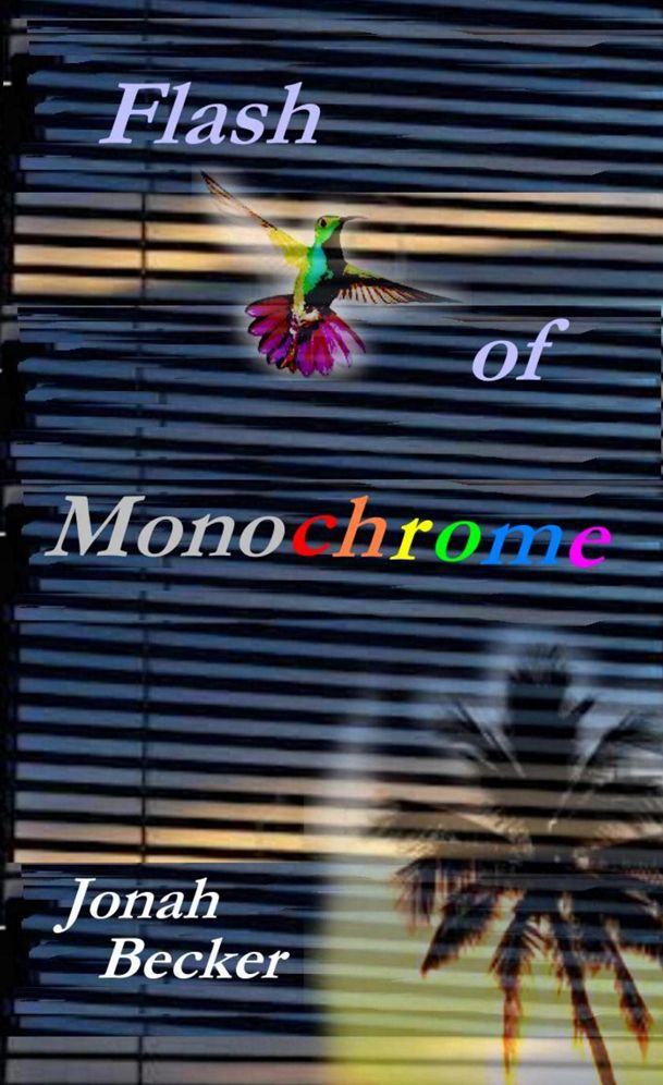 Flash of Monochrome
