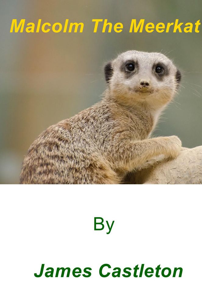 Malcolm The Meerkat