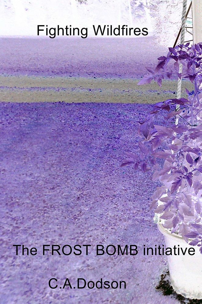 Fighting Wildfires: The FROST BOMB initiative
