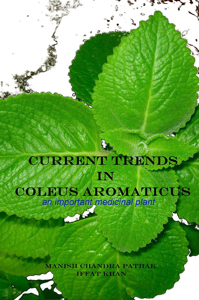 Current Trends In Coleus Aromaticus: An Important Medicinal Plant
