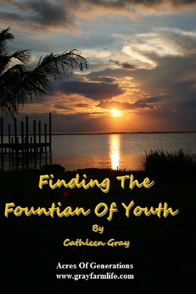 Finding The Fountain Of Youth: 7 Things To Do... Everyday