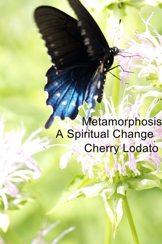Metamorphosis: A Spiritual Change