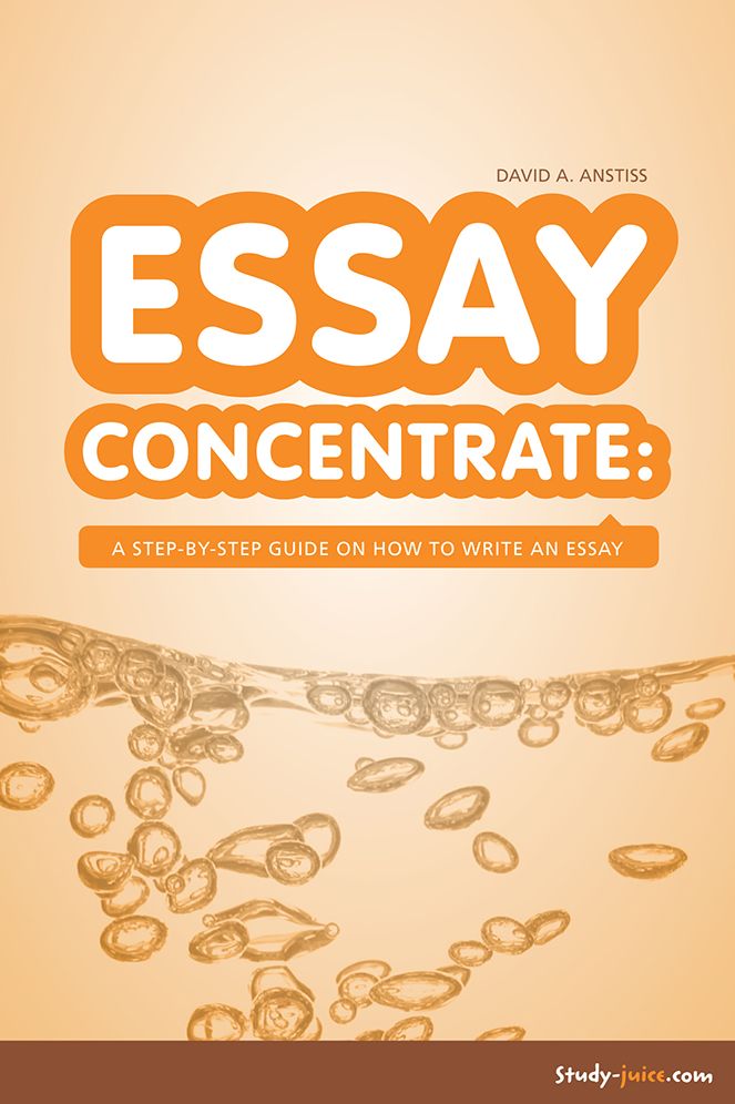 Essay Concentrate: A Step-by-Step Guide on How to Write an Essay