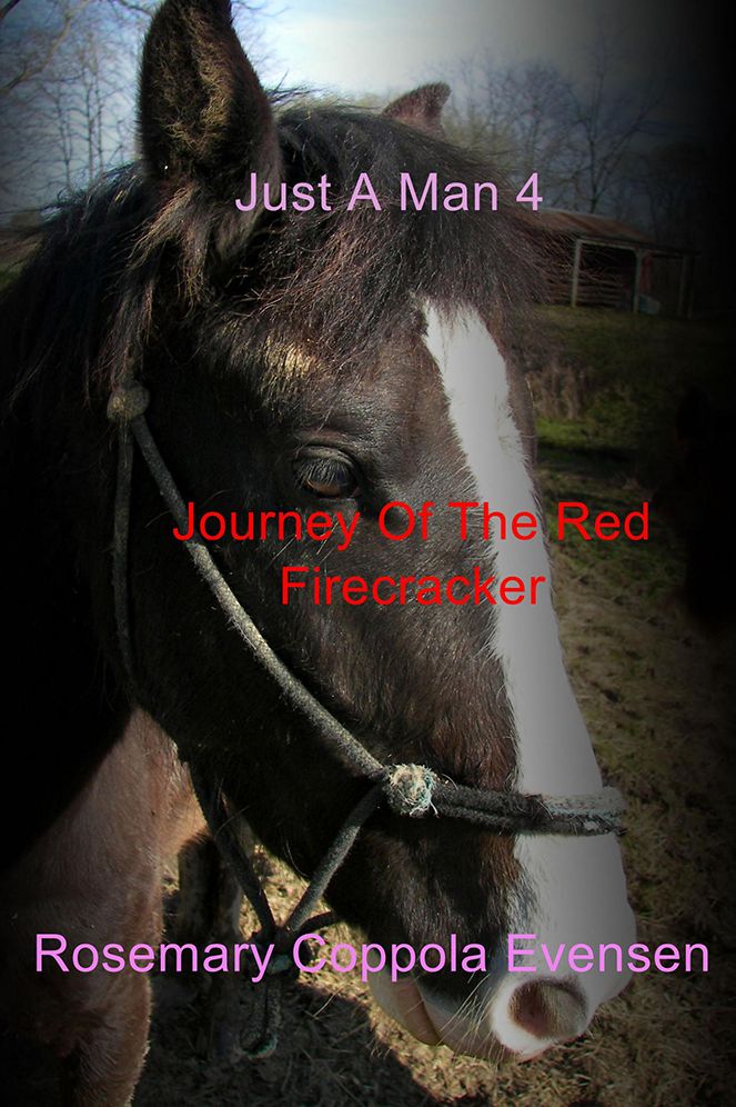 Just A Man 4: Journey of the Red Firecracker