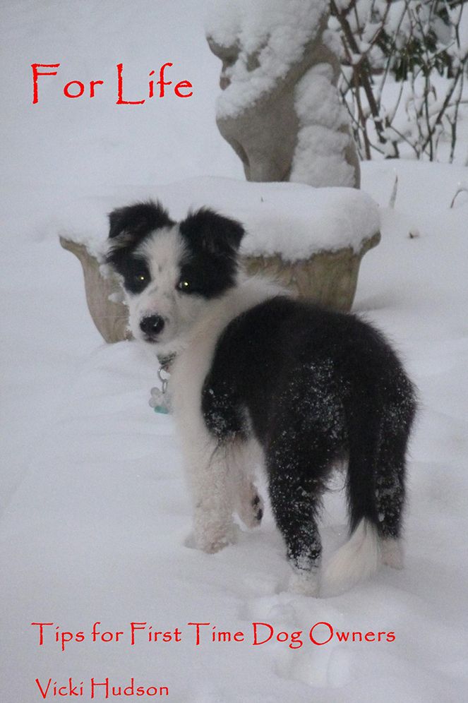 For Life: Tips for First Time Dog Owners