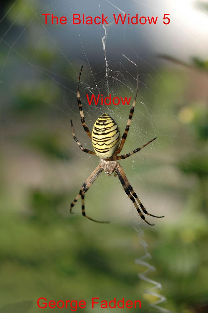 The Black Widow 5: Widow